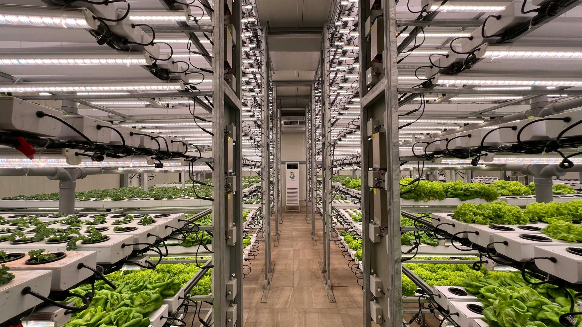 Agriculture & Food Processing